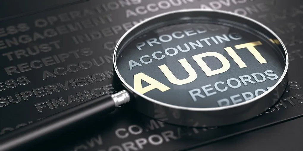 The Importance of Regular Audits for Business Health